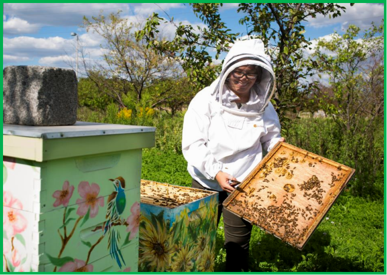 mary-mason-and-ford-rouge-complex-honeybees