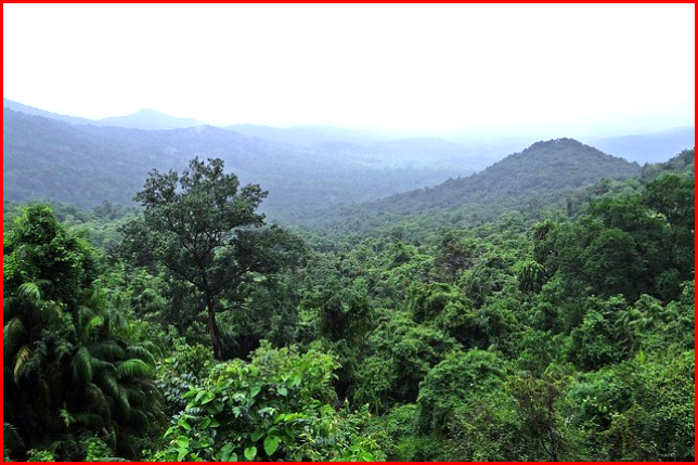 AutoInformed.com on CARB Tropical Forest Standards