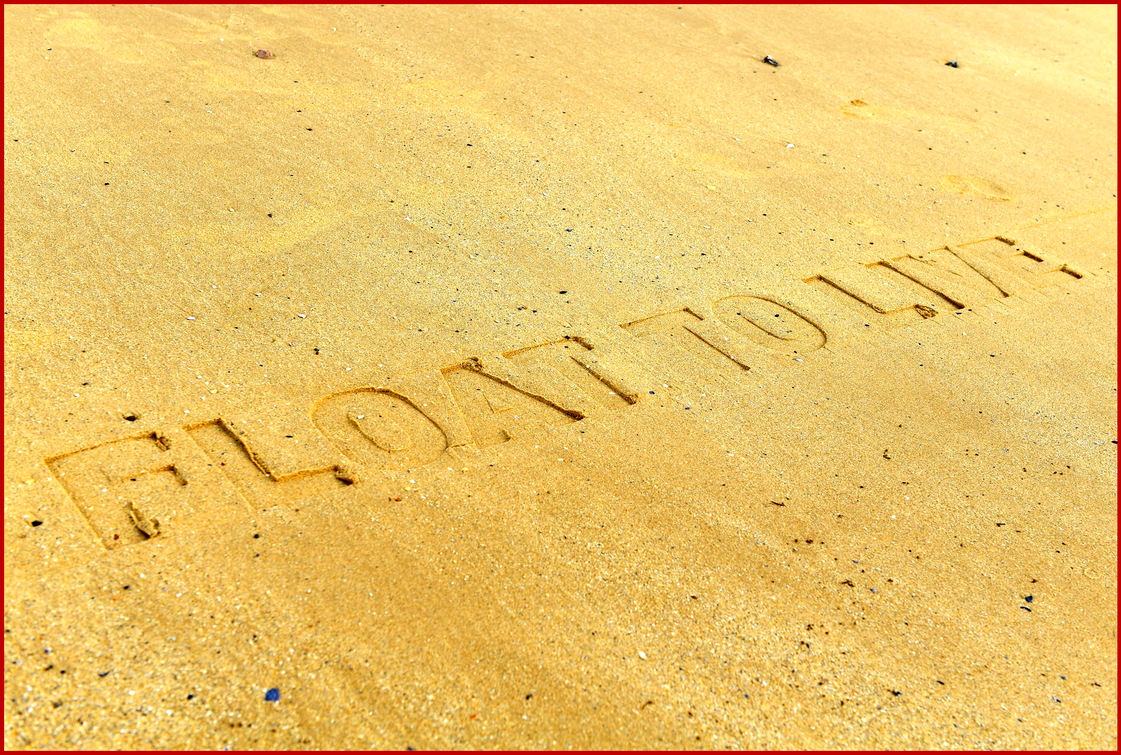 Ken Zino of AutoInformed.com on Ford Float to Live Tire Tracks