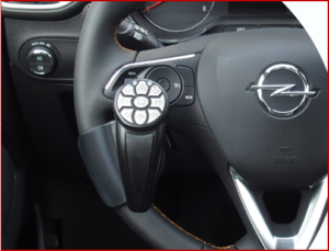 Ken Zino of AutoInformed.com on Stellantis Autonomy Disability Program for People with Motor Disabilities Now Expanding to all European Brands