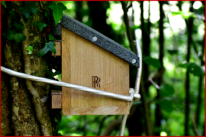 Ken Zino of AutoInformed.com on Rolls-Royce Apprentices Make Dormouse Houses