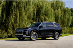 Ken Zino of AutoInformed.com on Hyundai Fire Risk Recall on 2025 Palisade SUVs