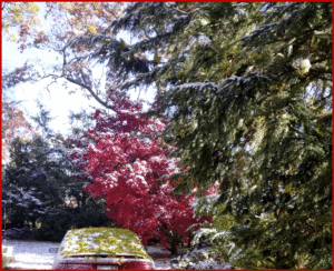 Ken Zino of AutoInformed.com on Talking Turkey - U.S. Gasoline Prices Relatively Stable 