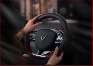 Ken Zino of AutoInformed.com on VinFast Auto Posts March Sales of ~28,000 EVs